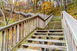 Kostenloses Foto holztreppe im park