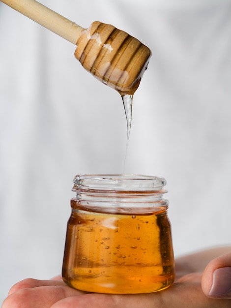 Honig tropft vom Wasseramsel
