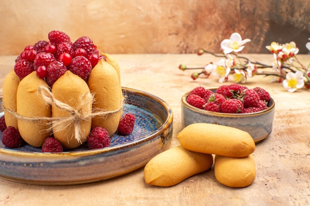 Horizontale Ansicht von frisch gebackenem weichem Kuchen mit Früchten und Keksblumen auf Mischfarbtabelle