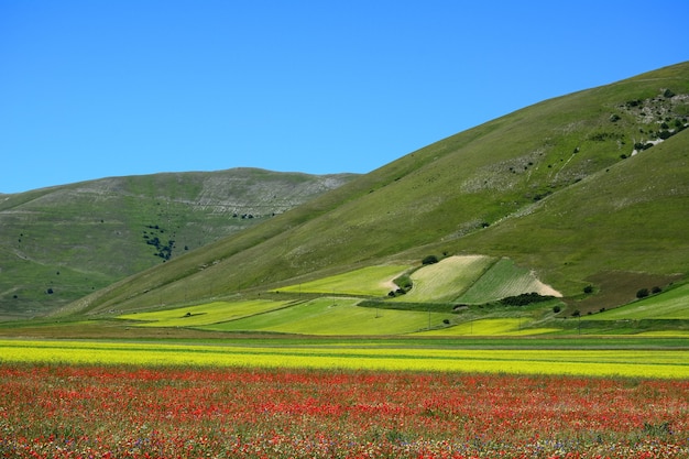 Horizontale Aufnahme der atemberaubenden und farbenfrohen Landschaft des Dorfes Castelluccio