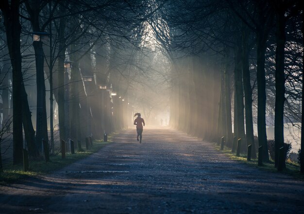 Horizontale Aufnahme eines Weges in einem Baumpark mit einer Frau im roten Trainingsanzug, der auf dem Weg läuft