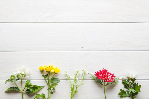 Hübsche Blumen auf hölzerner Tischplatte