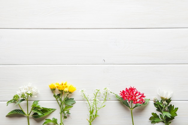 Hübsche Blumen auf hölzerner Tischplatte