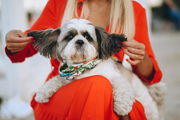 Hübsche Frau mit ihrem netten Hund im Urlaub