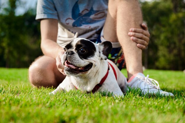 Hübscher Mann, der mit französischer Bulldogge auf Gras im Park sitzt