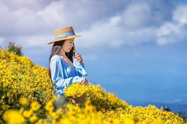 Hübsches Mädchen, das im Chrysanthemenfeld in Chiang Mai, Thailand genießt