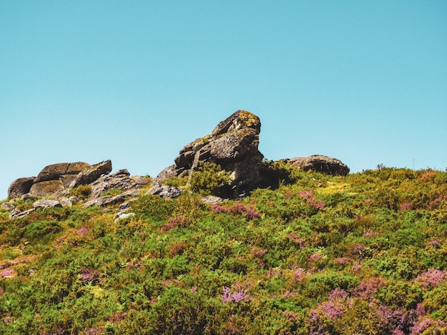 Hügel in Grüns und großen Felsen unter dem bewölkten Himmel