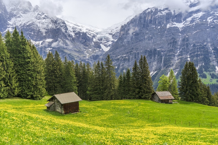 Kostenlose Foto hütten am berghang