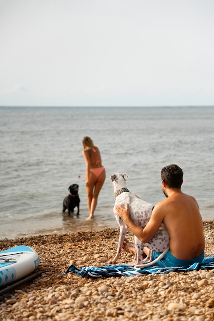 Kostenloses Foto hund hat spaß am strand