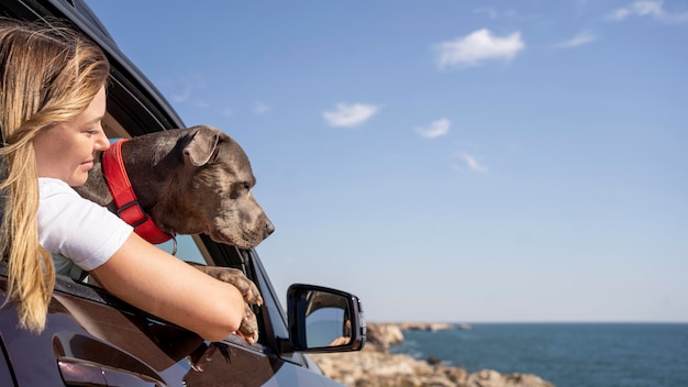 Kostenloses Foto hund sitzt auf dem schoß seines besitzers, während er mit kopierraum reist