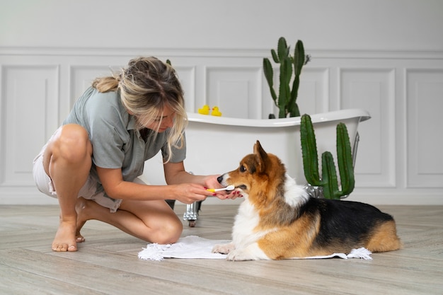 Kostenloses Foto hund zu hause waschen