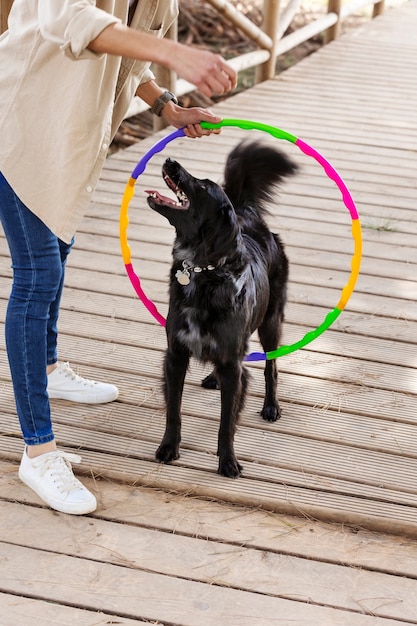 Hundetrainer, der mit seinem Haustier interagiert