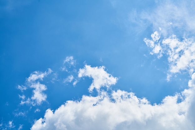 im Freien Natur Frühling Himmel blau