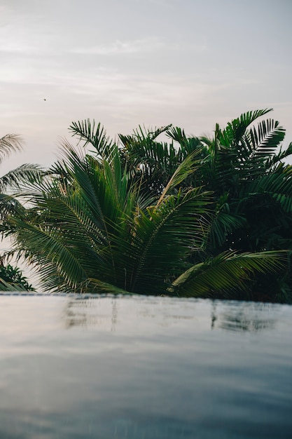 Infinity-Pool in einem Resort