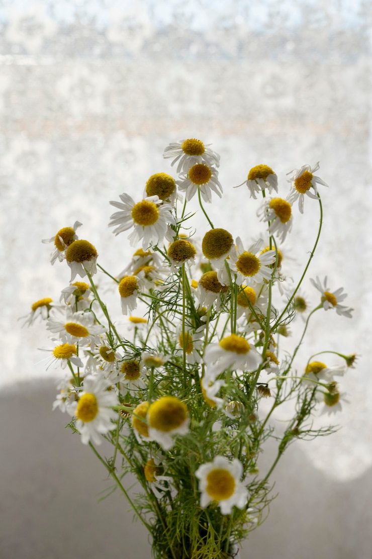 Kostenlose Foto innenarchitektur mit niedlichen blumen