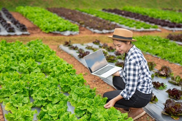 Inspektion der Gemüsegartenqualität durch Landwirte