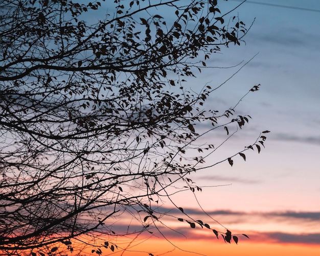 Inspirierende Aussicht auf das Morgenlicht