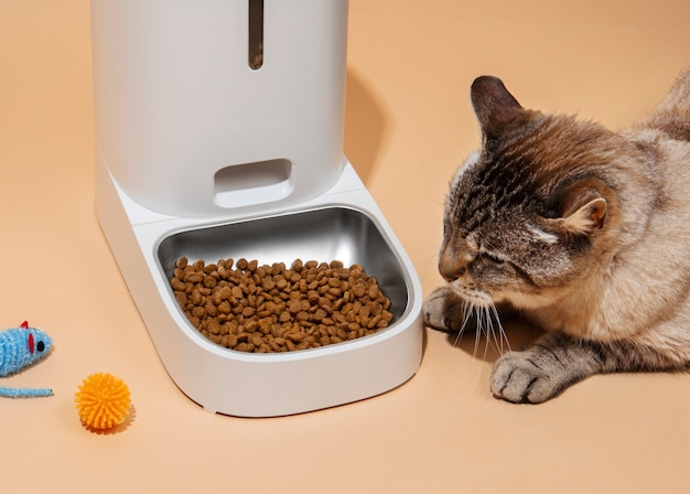 Intelligenter Futter für Haustiere Stillleben