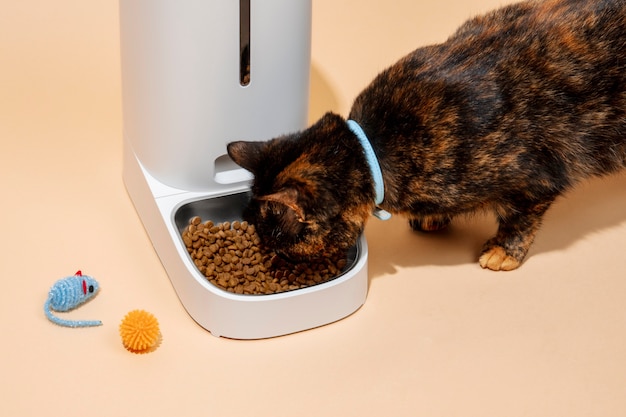 Intelligenter Futter für Haustiere Stillleben