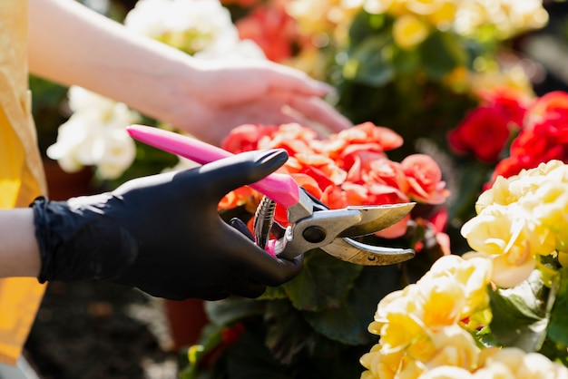 Kostenloses Foto interessierende blumen der nahaufnahmefrau