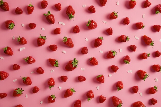 Isolierte Aufnahme von leckeren roten Erdbeeren mit grünem Stamm lokalisiert auf rosa Hintergrund, Kokosflocken herum. Sommer saftige Früchte können in einer Vielzahl von Marmeladen, Gelees und Desserts zusätzlich zur Ernährung verwendet werden