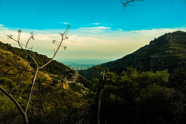 Jahreszeit Cloudscape weiße Landschaft Szene grün