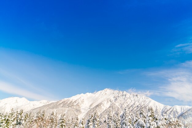 Japan Winter-Berg mit Schnee bedeckt