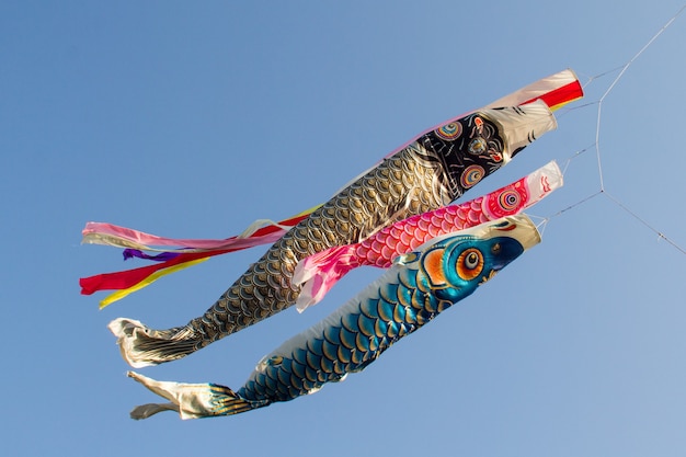 Kostenloses Foto japanische karpfenstreamer