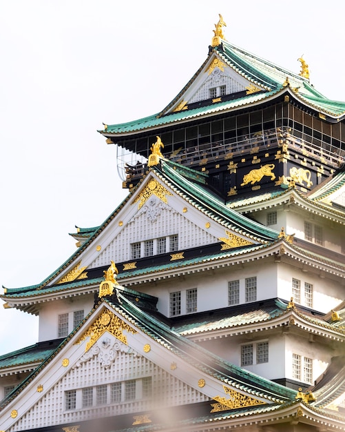 Japanische Pfirsichbaumblüte im Tageslicht