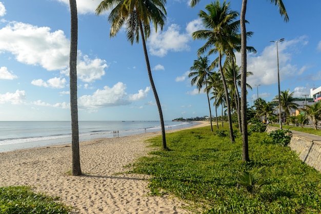 Joao pessoa, paraiba, brasilien am 25. mai 2021. manaira-strand mit kokospalmen.