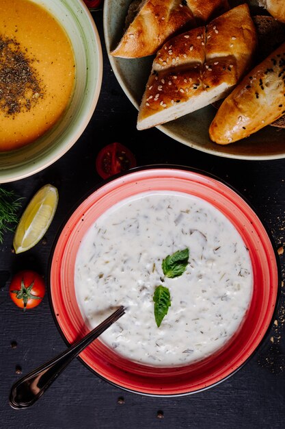 Joghurtsuppe mit tadellosen Blättern in der roten Schüssel.