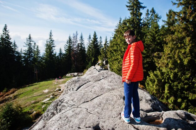 Junge auf dem Gipfel des Berges Kinder wandern an einem schönen Tag in den Bergen, ruhen sich auf Felsen aus und bewundern die atemberaubende Aussicht. Aktive Familienurlaubsfreizeit mit Kindern Spaß im Freien und gesunde Aktivität