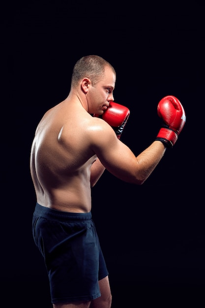 Junge Boxer Boxen