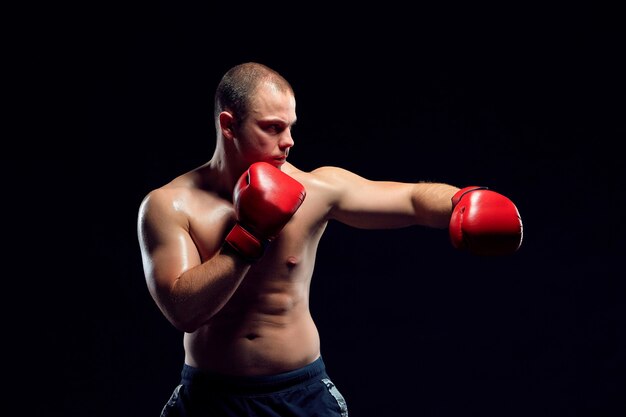 Junge Boxer Boxen