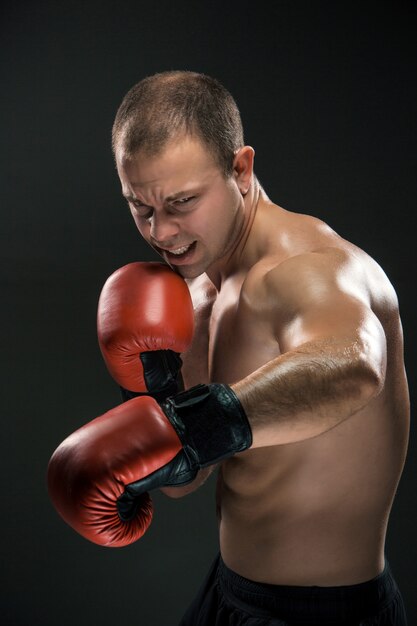 Junge Boxer Boxen