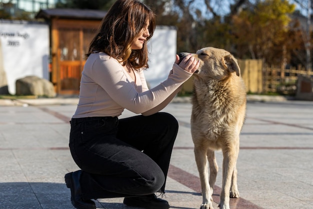 Junge Dame Haustier obdachloser entzückender Hund im Park Foto in hoher Qualität