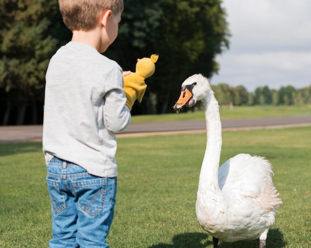 Kostenloses Foto junge, der neben einem schwan steht