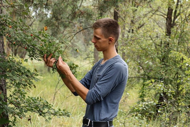 Kostenloses Foto junge, der wilde beeren sammelt