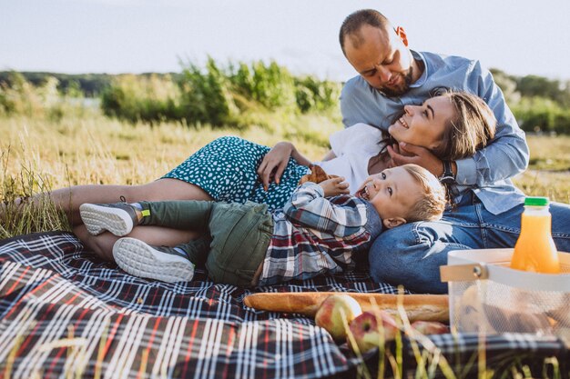 Junge Familie mit dem kleinen Sohn, der Picknick im Park hat