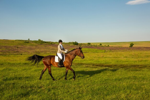 Junge Frau, die auf einem Pferd auf der grünen Wiese reitet. Reiten. Wettbewerb. Hobby