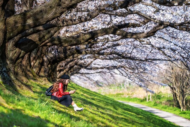 Junge Frau, die im Kirschblütengarten an einem Frühlingstag sitzt. Reihenkirschblütenbäume in Kyoto, Japan