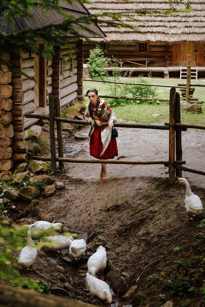 Junge Frau in einem ukrainischen Trachtenkleid geht in den Hof und füttert Gänse