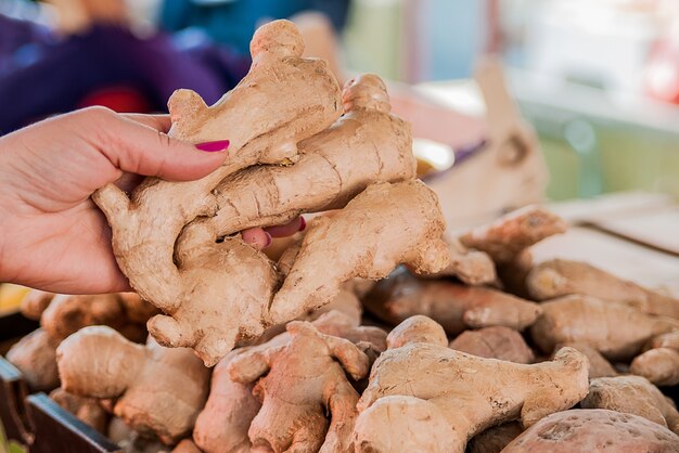 Junge Frau kauft Ingwer auf den Markt. Frau wählen Ingwer im Supermarkt. Frau holt frische Produkte auf dem Markt