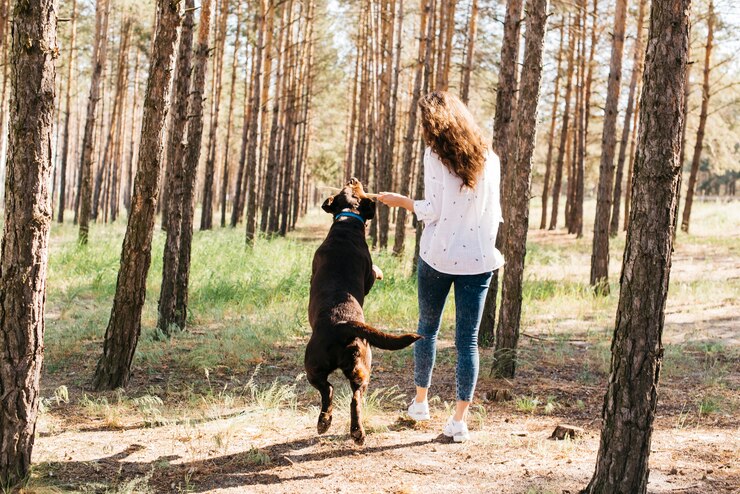 Kostenlose Foto junge frau macht ein picknick mit ihrem hund