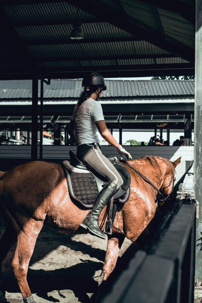 Junge Frau trainiert beim Reiten in der Arena. Junge kaukasische Frau in formeller Kleidung, die über die sandige Arena reitet. Ein reinrassiges Pferd für den Reitsport. Die Sportlerin auf einem Pferd