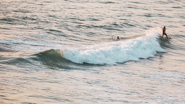 Junge Leute, die an einem sonnigen Tag am Meer surfen