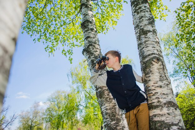 Junge mit Fernglas in einem Baum