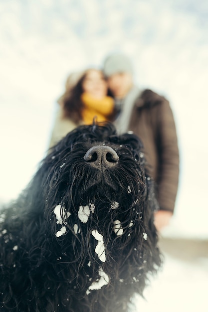 Kostenloses Foto junge paare, die mit einem hund an einem wintertag gehen