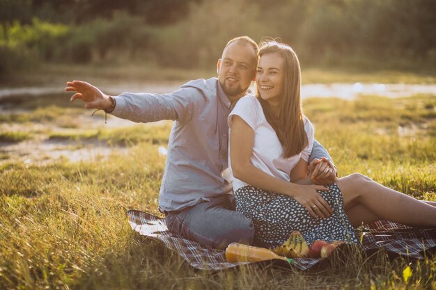 Junge Paare, die Picknick im Park haben