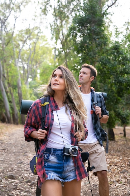 Junge Rucksacktouristen, die wandern, Ansicht genießen und Landschaft im Wald betrachten. Kaukasische attraktive Reisende, die auf Weg in Wäldern gehen. Backpacking Tourismus, Abenteuer und Sommerurlaub Konzept